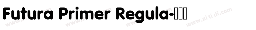 Futura Primer Regula字体转换